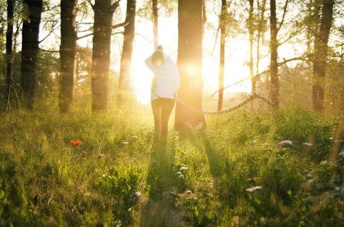 怎么关闭视频号直播提醒-关闭直播提醒设置缩略图